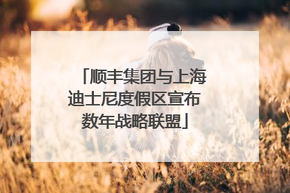 顺丰集团与上海迪士尼度假区宣布数年战略联盟