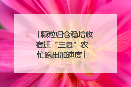 颗粒归仓稳增收 宿迁“三夏”农忙跑出加速度