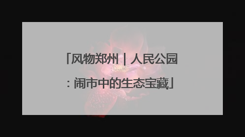 风物郑州｜人民公园：闹市中的生态宝藏