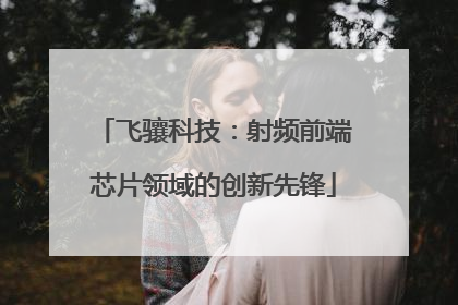 飞骧科技：射频前端芯片领域的创新先锋