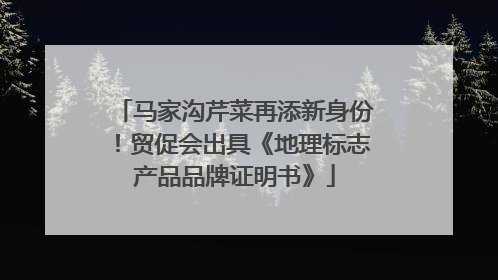 马家沟芹菜再添新身份！贸促会出具《地理标志产品品牌证明书》