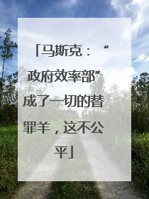 马斯克：“政府效率部”成了一切的替罪羊，这不公平
