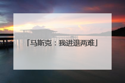 马斯克：我进退两难