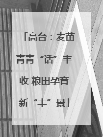 高台：麦苗青青“话”丰收 粮田孕育新“丰”景