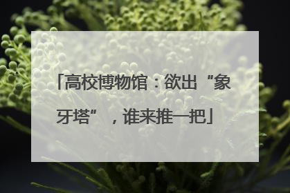 高校博物馆：欲出“象牙塔”，谁来推一把