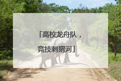 高校龙舟队，竞技刺猬河