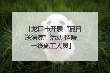 龙口市开展“夏日送清凉”活动 情暖一线施工人员