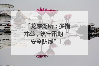 龙感湖所；多措并举，筑牢汛期“安全防线”