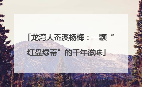 龙湾大岙溪杨梅：一颗“红盘绿蒂”的千年滋味