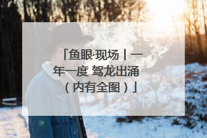 鱼眼·现场丨一年一度 驾龙出涌（内有全图）