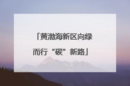 黄渤海新区向绿而行“碳”新路