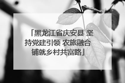 黑龙江省庆安县 坚持党建引领 农旅融合铺就乡村共富路