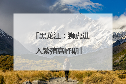 黑龙江：狮虎进入繁殖高峰期