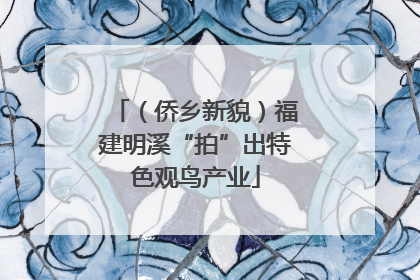 （侨乡新貌）福建明溪“拍”出特色观鸟产业