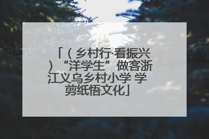 （乡村行·看振兴）“洋学生”做客浙江义乌乡村小学 学剪纸悟文化