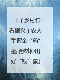 （乡村行·看振兴）农人手握金“药”匙 药材种出好“钱”景