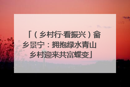 （乡村行·看振兴）畲乡景宁：拥抱绿水青山 乡村迎来共富蝶变