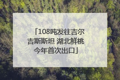 108吨发往吉尔吉斯斯坦 湖北鲜桃今年首次出口