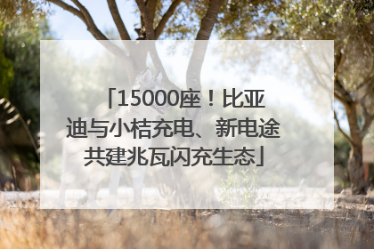 15000座！比亚迪与小桔充电、新电途共建兆瓦闪充生态