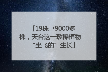 19株→9000多株，天台这一珍稀植物“坐飞的”生长