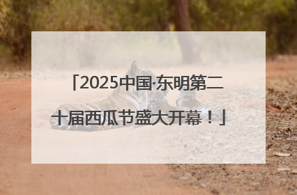 2025中国·东明第二十届西瓜节盛大开幕！
