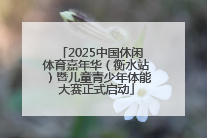 2025中国休闲体育嘉年华（衡水站）暨儿童青少年体能大赛正式启动