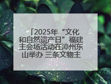 2025年“文化和自然遗产日”福建主会场活动在漳州东山举办 三条文物主题游径发布