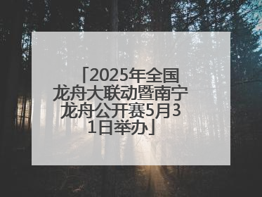 2025年全国龙舟大联动暨南宁龙舟公开赛5月31日举办