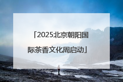 2025北京朝阳国际茶香文化周启动