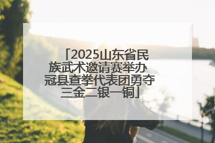 2025山东省民族武术邀请赛举办 冠县查拳代表团勇夺三金二银一铜
