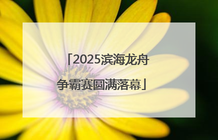 2025滨海龙舟争霸赛圆满落幕