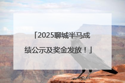 2025聊城半马成绩公示及奖金发放！