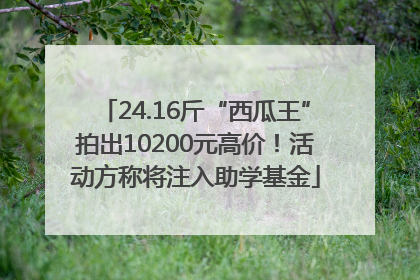 24.16斤“西瓜王”拍出10200元高价！活动方称将注入助学基金