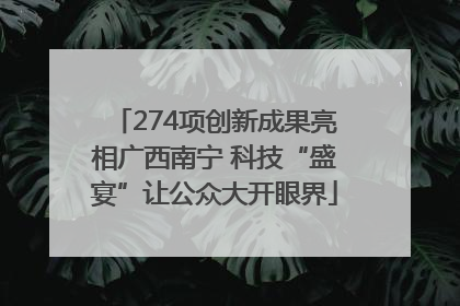 274项创新成果亮相广西南宁 科技“盛宴”让公众大开眼界
