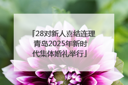28对新人喜结连理 青岛2025年新时代集体婚礼举行