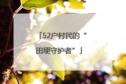 52户村民的“田埂守护者”