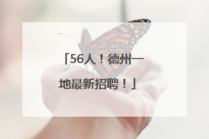56人！德州一地最新招聘！