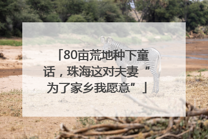 80亩荒地种下童话，珠海这对夫妻“为了家乡我愿意”