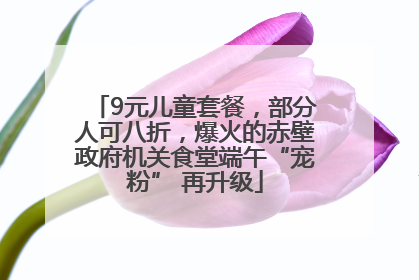 9元儿童套餐，部分人可八折，爆火的赤壁政府机关食堂端午“宠粉” 再升级