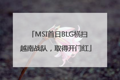 MSI首日BLG横扫越南战队，取得开门红